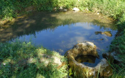 Fontaine Saint-Martin, Manthelan